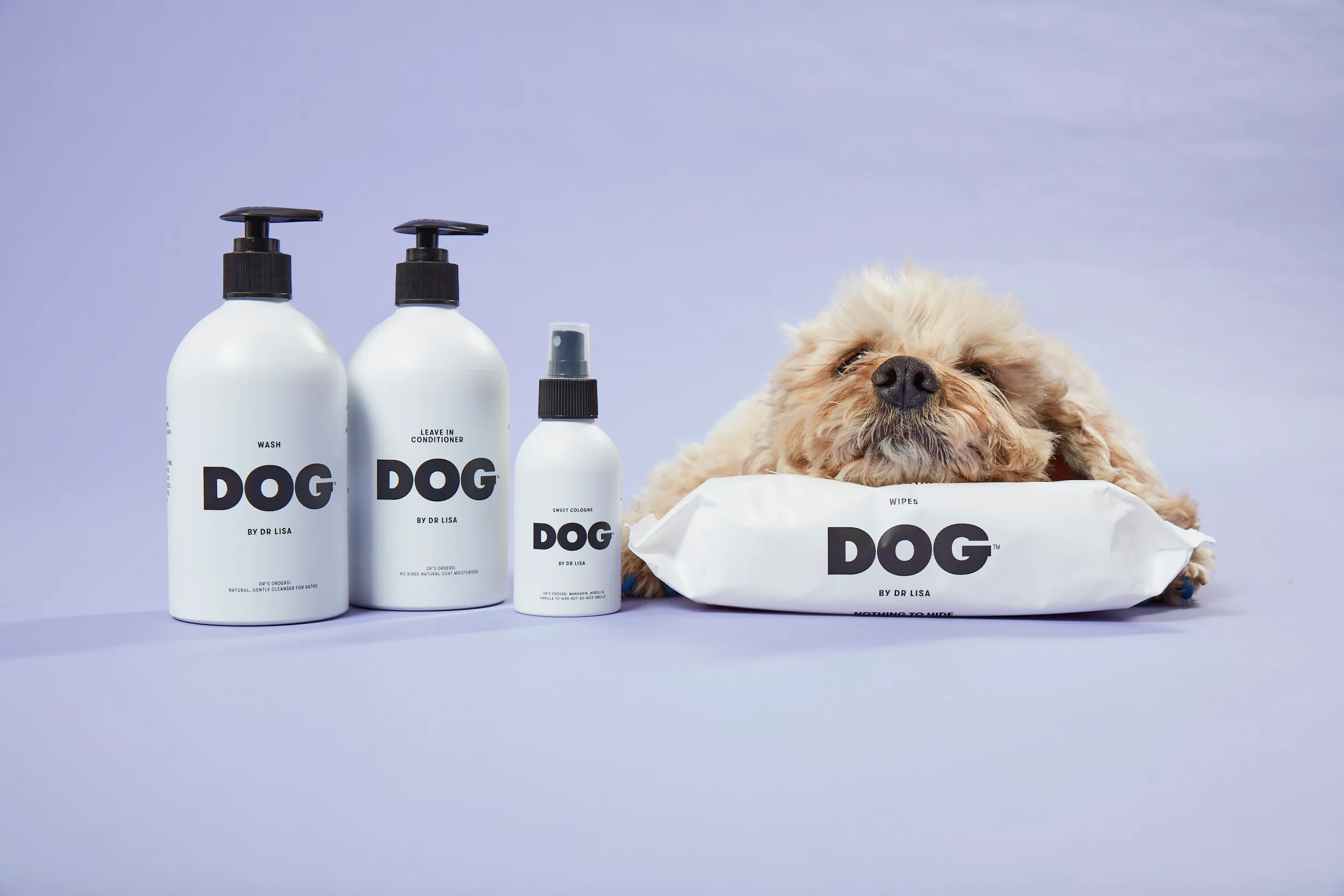 DOG by Dr Lisa