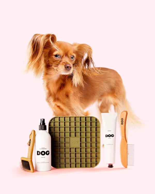 DOG by Dr Lisa grooming range